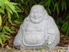 lachender Budda